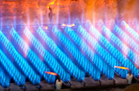 Hadzor gas fired boilers